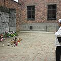 Wizyta seniorów w Muzeum Auschwitz-Birkenau - 23